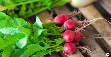 TRAVEL|「ル・メリディアン ジンバラン」 13