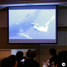 セイラーズ フォー ザ シー 03