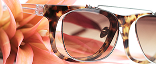 特集｜この夏いちばん旬なサングラスが欲しい！