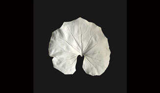 on za line｜BIRDHOUSE 03