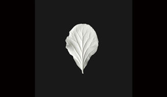 on za line｜BIRDHOUSE 05