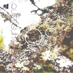 Quiet Sun 「Flicker and Fade EP」