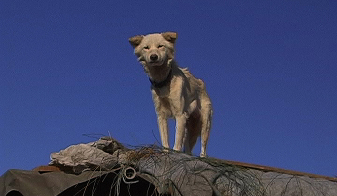 MOVIE｜『ソレイユのこどもたち』 02