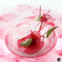 215_restaurant_irie_le_joyeux_04