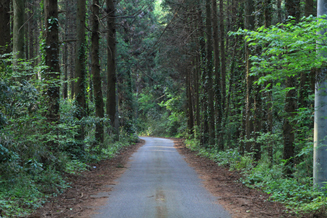 一番星ヴィレッジ 03