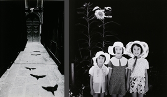 写真のエステ-写真作品のつくりかた 02