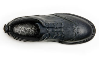 AUTHENTIC SHOE|SPECTUSSHOECO. 03