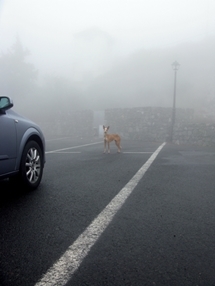 デイヴィッド・シルヴィアン写真展 04