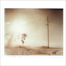 ナツラエリ・プレス 03