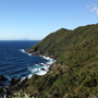 yakushima_9090
