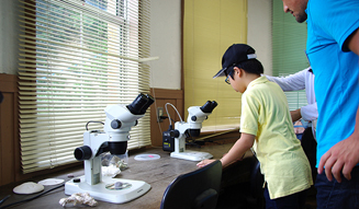 MIKIMOTO|ミキモト 05