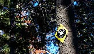 JEEP Experience 2013|ジープ エクスペリエンス 2013