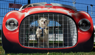 Ferrari|フェラーリ