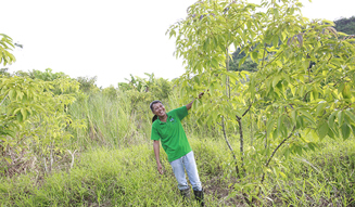 モア・トゥリーズが進めるフィリピン・キリノ州でのチャレンジ|more trees 13