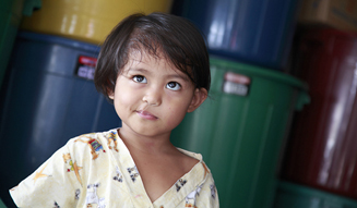 モア・トゥリーズが進めるフィリピン・キリノ州でのチャレンジ|more trees 16