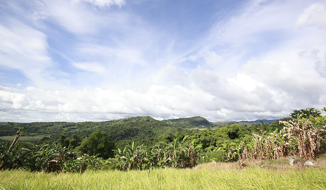 モア・トゥリーズが進めるフィリピン・キリノ州でのチャレンジ|more trees 08