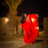 「ワンランク上の砂漠ツアー」 41