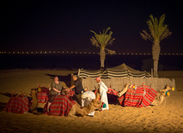 「ワンランク上の砂漠ツアー」 49