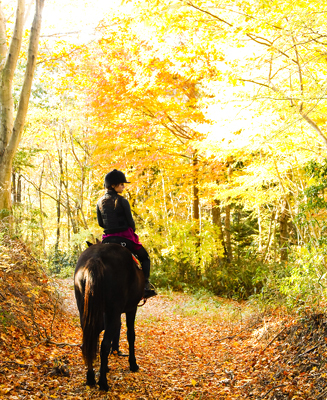 TRAVEL｜天空の庭 天馬夢 04