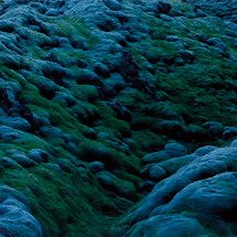 LAND SPACE|瀧本幹也 05