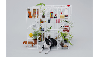 by 藤本荘介 for ボストンテリア