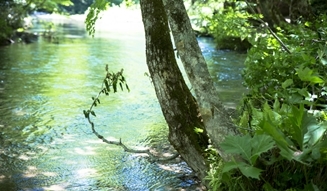 十和田奥入瀬芸術祭 02