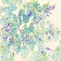 青参道アートフェア 04