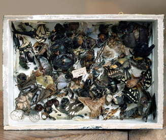 加茂克也展‘100HEADPIECES’　05