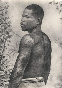 グレゴリー・プリヴァ『Tales of Cyparis』　01