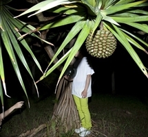 LUMIX MEETS/TOKYO 2020 05