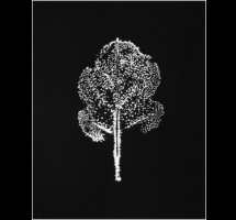 LUMIX MEETS/TOKYO 2020 04