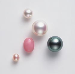 MIKIMOTO|ミキモト 03