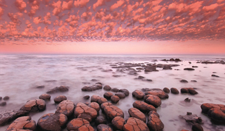 『ザ・ワイルドライフ・フォト 10人の巨匠 傑作選』 03