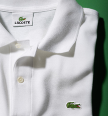 LACOSTE|ラコステ 11