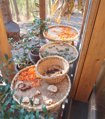 「パーマカルチャーデザイン」を暮らしの中に 18