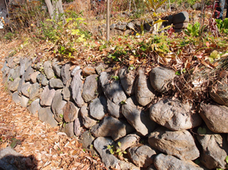 「パーマカルチャーデザイン」を暮らしの中に 02