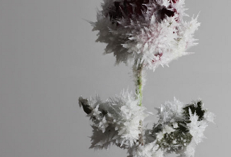 『吉岡徳仁─クリスタライズ』