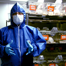 『世界が食べられなくなる日』