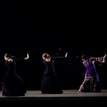 Ballet Flamenco Eva Yerbabuena｜エバ・ジェルバブエナ フラメンコ舞踊団 07