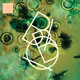Bibio 「The Green EP」