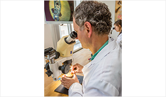 A.LANGE&SONE|A.ランゲ&ゾーネ