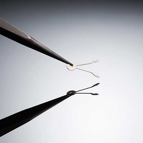 田中知之×セイコー プレザージュ