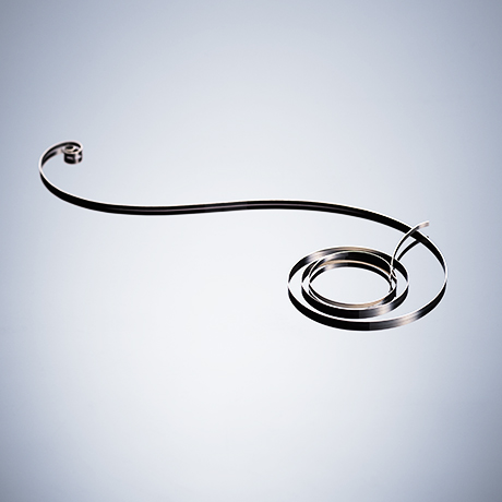 田中知之×セイコー プレザージュ