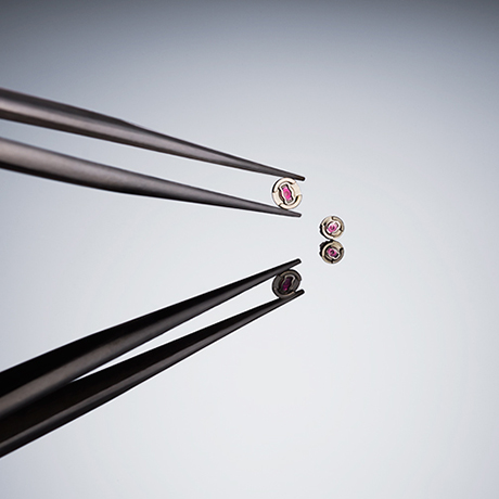 田中知之×セイコー プレザージュ