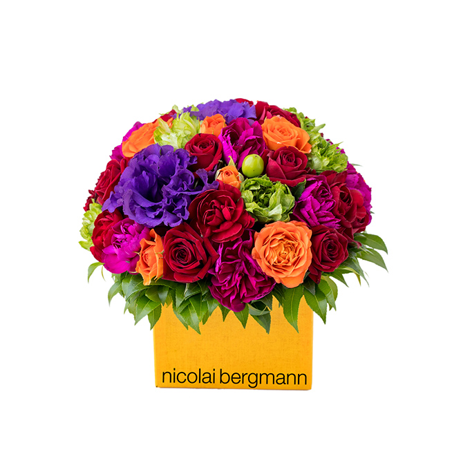 nicolai-bergmann_008