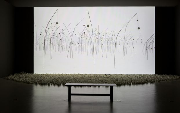 ア二ミタス(白)