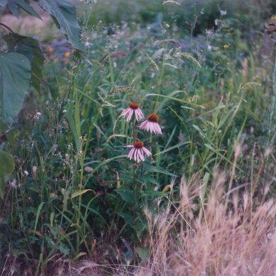 キュレーターズ キューブ アート 写真 イベント