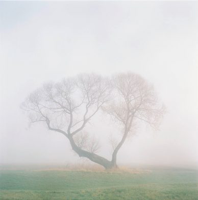 キュレーターズ キューブ アート 写真 イベント