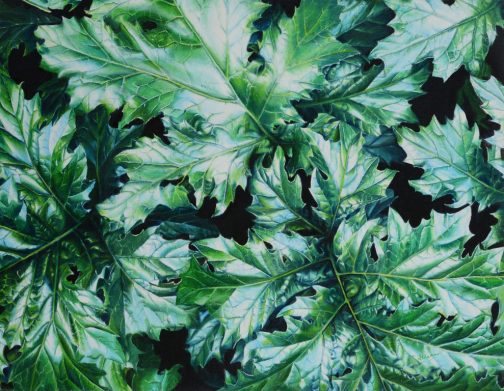 「アカンサスB」 6F(油彩・キャンバス) 2013年。