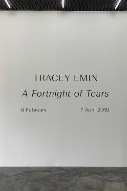 ソー・エルメス 編集大魔王・祐真朋樹